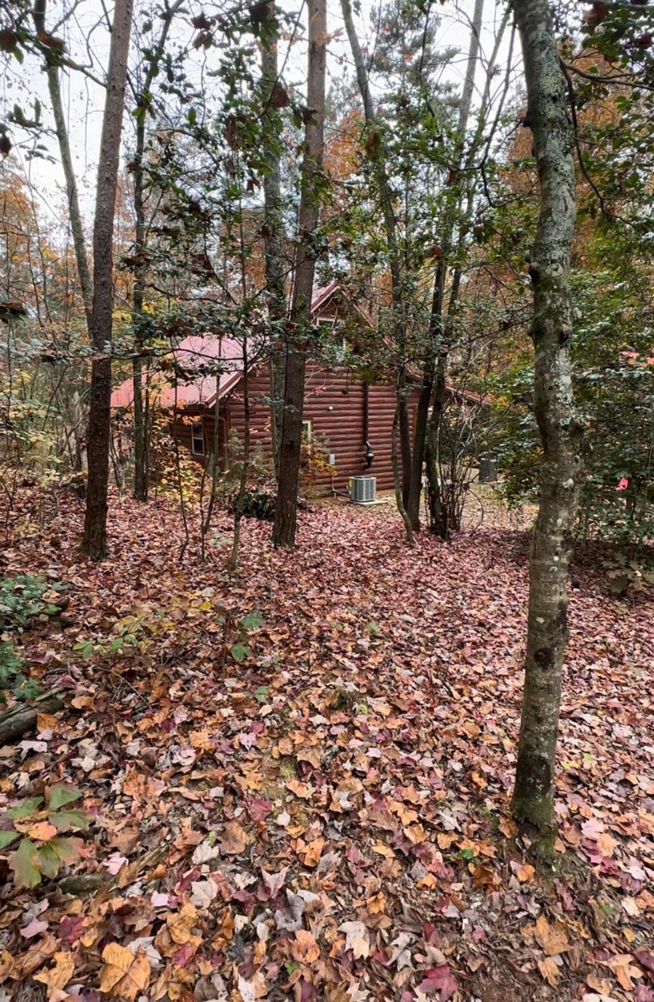 Appalachian Mountain Cabin-Updated-Private-Rafting On Ocoee River-Hiking-Waterfalls-Wifi-Pets Ok 머피 외부 사진