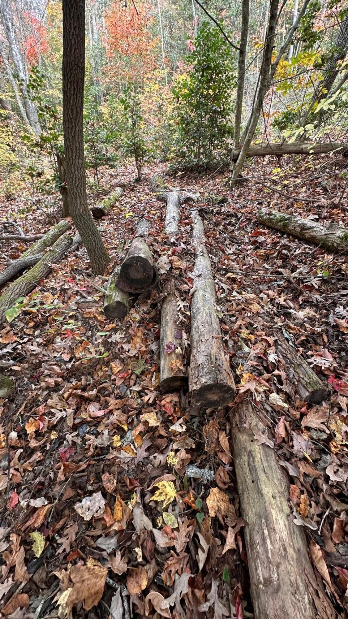 Appalachian Mountain Cabin-Updated-Private-Rafting On Ocoee River-Hiking-Waterfalls-Wifi-Pets Ok 머피 외부 사진