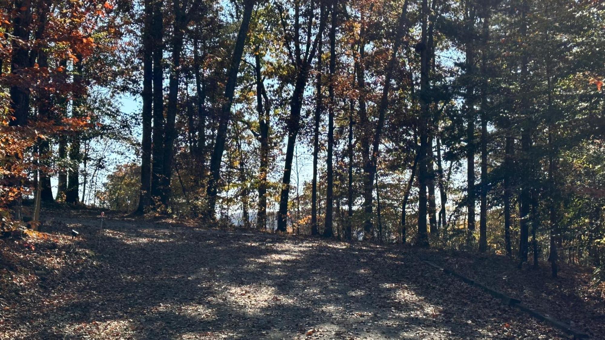 Appalachian Mountain Cabin-Updated-Private-Rafting On Ocoee River-Hiking-Waterfalls-Wifi-Pets Ok 머피 외부 사진